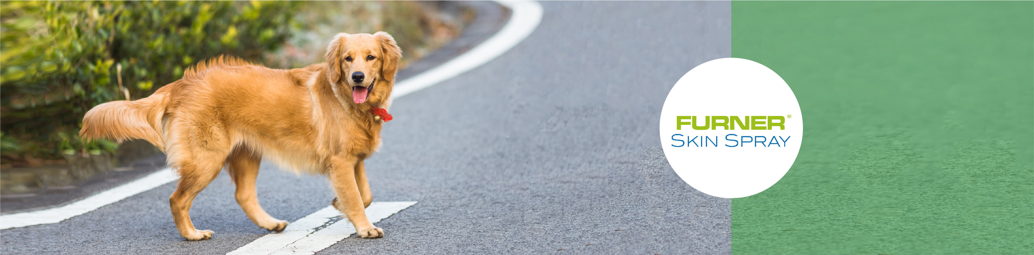 Algemene banner Furner