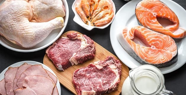 Afbeelding met dierlijke producten zoals; zalm, garnalen, melk en kip.